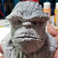 Picture of print of The Thing Bust This print has been uploaded by Cyrus Park