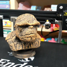 Picture of print of The Thing Bust This print has been uploaded by Sotiris Korkolis