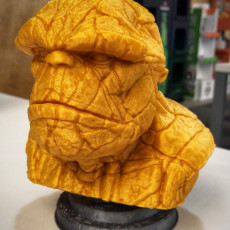 Picture of print of The Thing Bust This print has been uploaded by Hector Mancillas