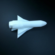 Picture of print of Rocket Ship