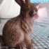 Hase Rabbit Kaninchen image