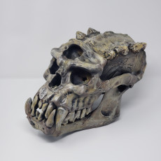 Picture of print of Troll Skull This print has been uploaded by CHAOSMakers