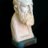 Bust of Zeno print image