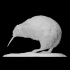 Kiwi image