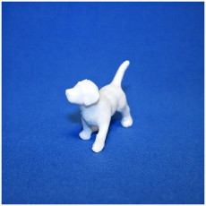 Picture of print of Puppy!! This print has been uploaded by MingShiuan Tsai