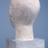 "Reserve head" of Nofer image