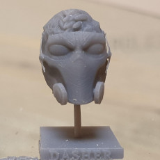 Picture of print of Dasher Head