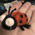 Lady ladybug image