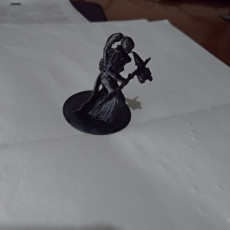 Picture of print of Elf Blood Paladin