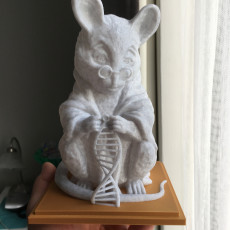Picture of print of Laboratory Mouse This print has been uploaded by muddymaker