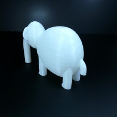 Picture of print of elefant