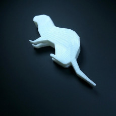 Picture of print of My first print - Low Poly Ferret