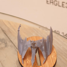 Picture of print of Dragon Rider This print has been uploaded by EAGLE3D TECH