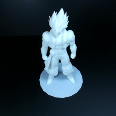 Picture of print of Gogeta