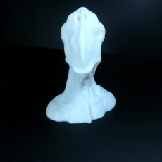 Picture of print of Alien Bust