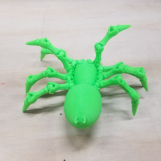 Picture of print of Copy of Spider #balljoint 32 connections This print has been uploaded by Collin Tupper