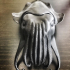 cuttlefish image