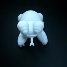 Picture of print of Frog