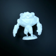 Picture of print of RoboRock