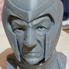 Picture of print of Buste of Ian McKellen as Magneto Free
