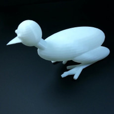Picture of print of Frog Duck