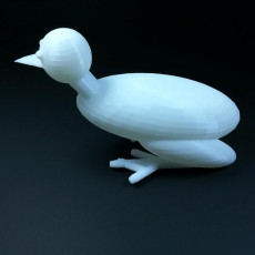 Picture of print of Frog Duck