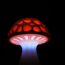Picture of print of Magic Mushroom (free version)  (LQ) This print has been uploaded by Patrick Wannersdorfer