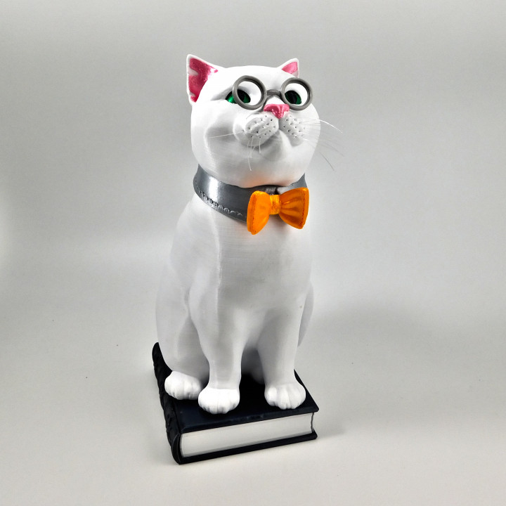 $3.00Murphy the Library Cat: Multi Material "Top Up" (Multi Material files only!!)