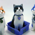 Schrodinky: British Shorthair Cat In A Box - 3D printable multipart model - multi material package image