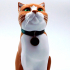 Schrodinky: British Shorthair Cat In A Box - 3D printable multipart model - multi material package image