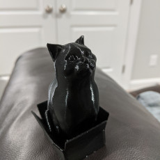 Picture of print of Schrodinky: British Shorthair Cat Sitting In A Box(single extrusion version) This print has been uploaded by Haven