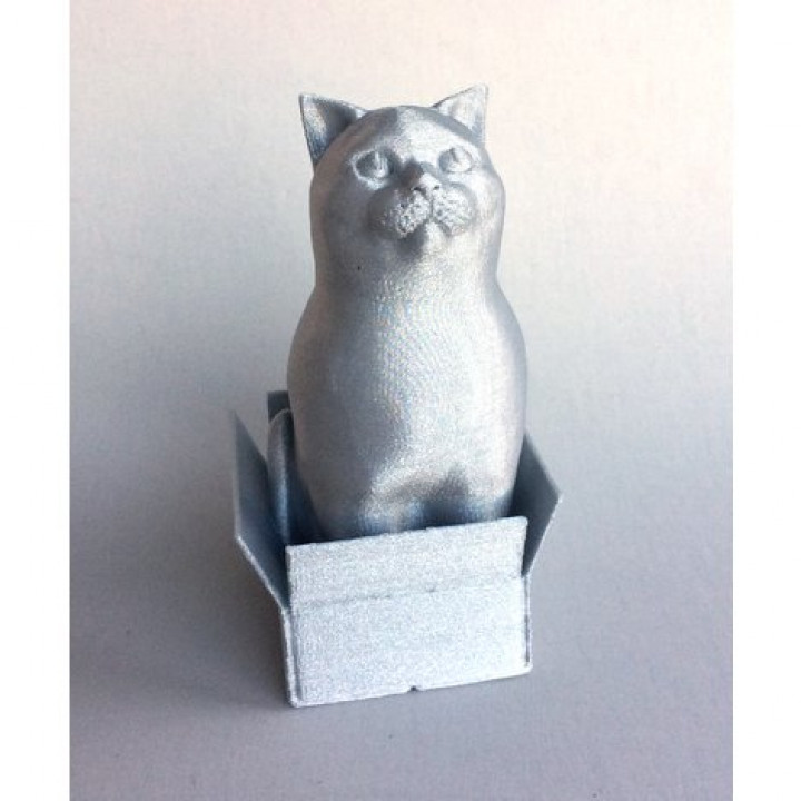 Schrodinky: British Shorthair Cat Sitting In A Box(single extrusion version)