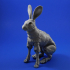 The Fabled Hare (A 3D Printed Ball-jointed Doll) image
