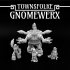 Townsfolke: Gnomewerx image