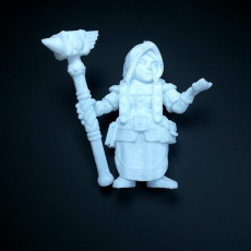 Picture of print of Dwarf woman rune mage