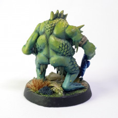 Picture of print of River troll