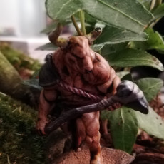 Picture of print of Minotaur - Tabletop Miniature