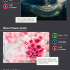 Infographic on camera settings: How to Shoot Stunning Photographs in Manual Mode image