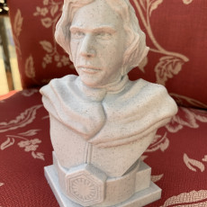 Picture of print of Kylo Ren bust This print has been uploaded by Keith Peffer