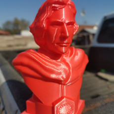 Picture of print of Kylo Ren bust