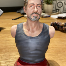 Picture of print of Tony Stark bust This print has been uploaded by Mark Peck