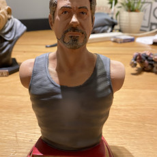 Picture of print of Tony Stark bust This print has been uploaded by Mark Peck