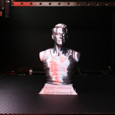 Picture of print of Tony Stark bust This print has been uploaded by iczfirz