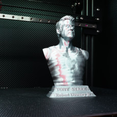Picture of print of Tony Stark bust This print has been uploaded by iczfirz