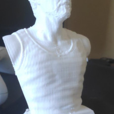 Picture of print of Tony Stark bust This print has been uploaded by Ramon