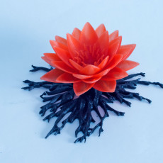Picture of print of Lotus