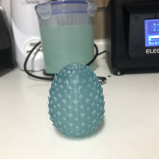 Picture of print of Dragon Egg