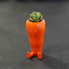 Picture of print of Cute Carrot Shaped Suculent planter This print has been uploaded by remi
