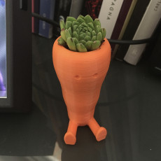 Picture of print of Cute Carrot Shaped Suculent planter