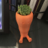 Cute Carrot Shaped Suculent planter print image